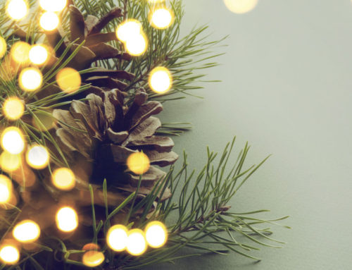 12 Tips to Survive the Holidays